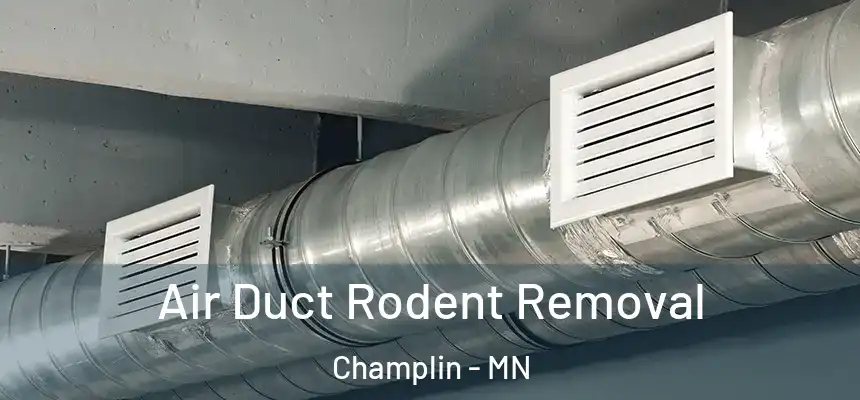 Air Duct Rodent Removal Champlin - MN