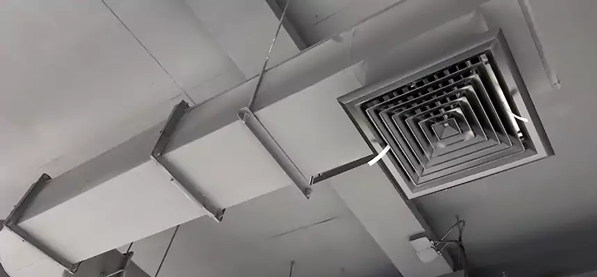 Our Pest Removal From Ducts Services in Champlin, MN