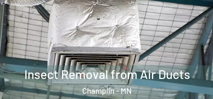  Insect Removal from Air Ducts Champlin - MN