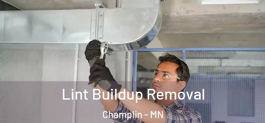  Lint Buildup Removal Champlin - MN