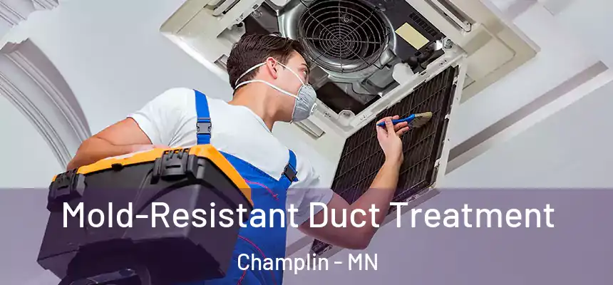 Mold-Resistant Duct Treatment Champlin - MN