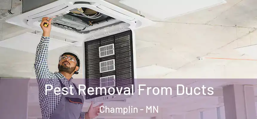 Pest Removal From Ducts Champlin - MN