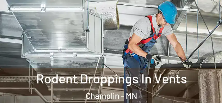  Rodent Droppings In Vents Champlin - MN