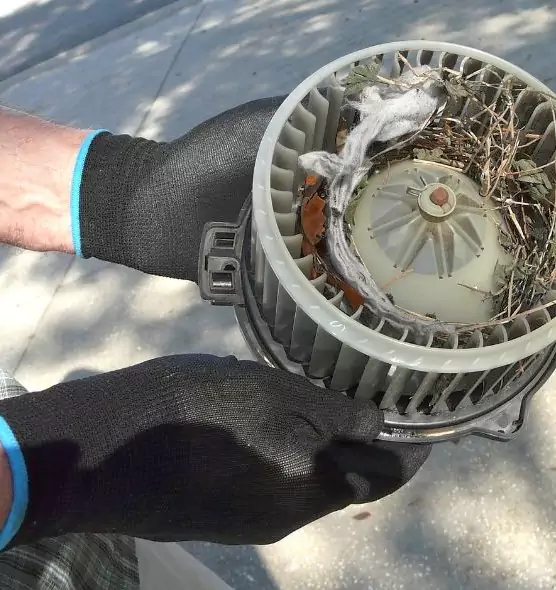 About Air Duct Mice Removal in Champlin, MN