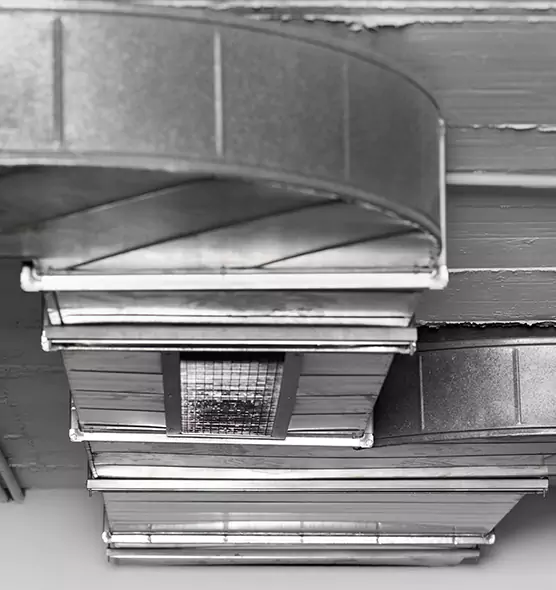 Professional Air Duct Pest Removal in Champlin, MN