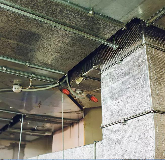 Why Homeowners & Businesses Trust Us in Champlin, MN?