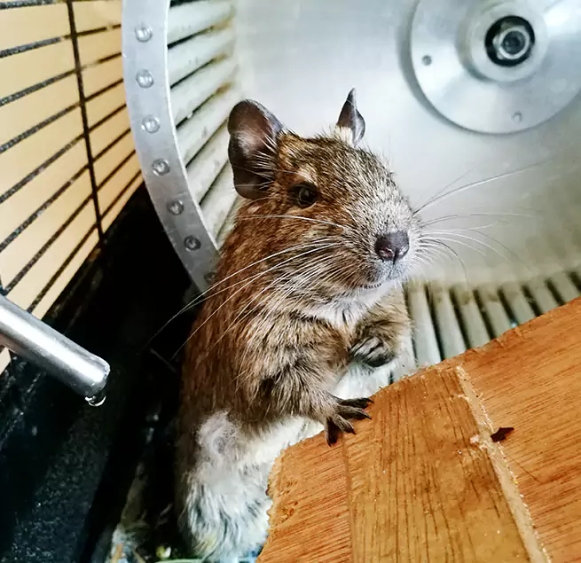 Why Homeowners & Businesses Trust Us Champlin, MN