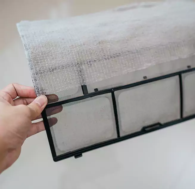 Why Homeowners & Businesses Trust Us in Champlin, MN?